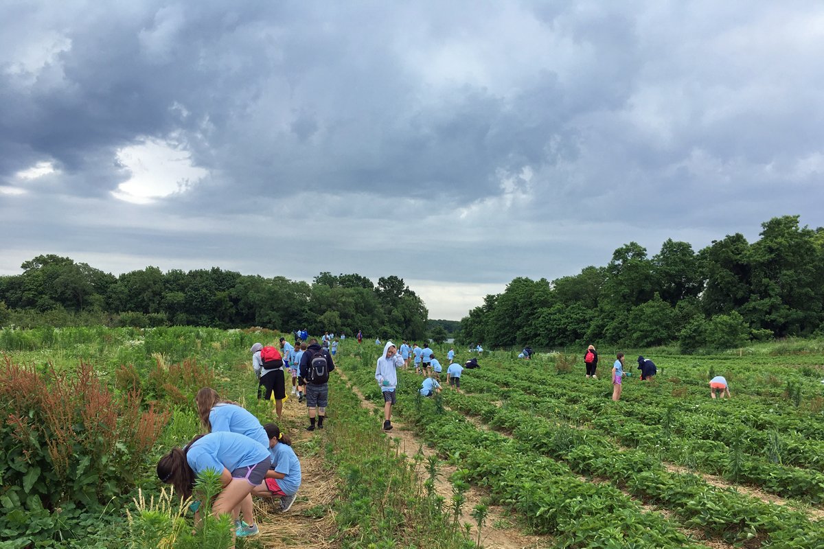 Wet, rainy weather and wildfire-related smoke forced Wickham’s Fruit Farm in Cutchogue, New York, to close its U-pick offering more often than not this year. (Photo courtesy of Laurie McBride)